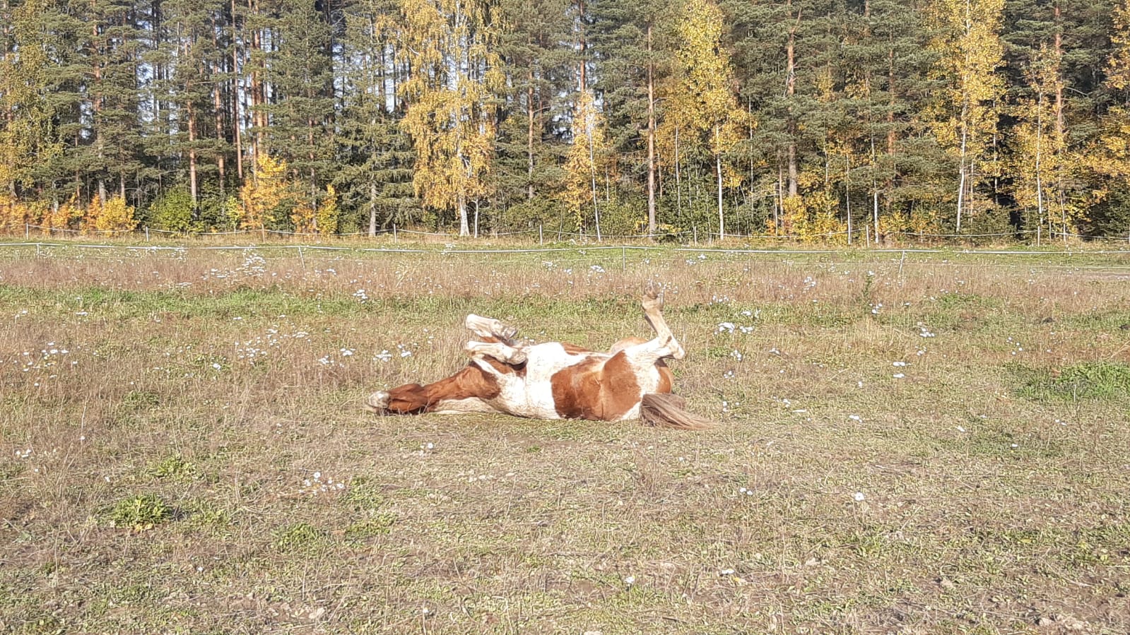 Einola viikonloppuleiri 21.3.-23.3. / Einola weekend camp 21.3.-23.3.