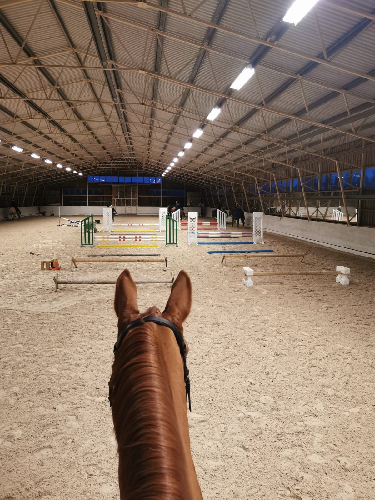 Tasapaino esteillä -kurssi 30.10.-11.12.2020