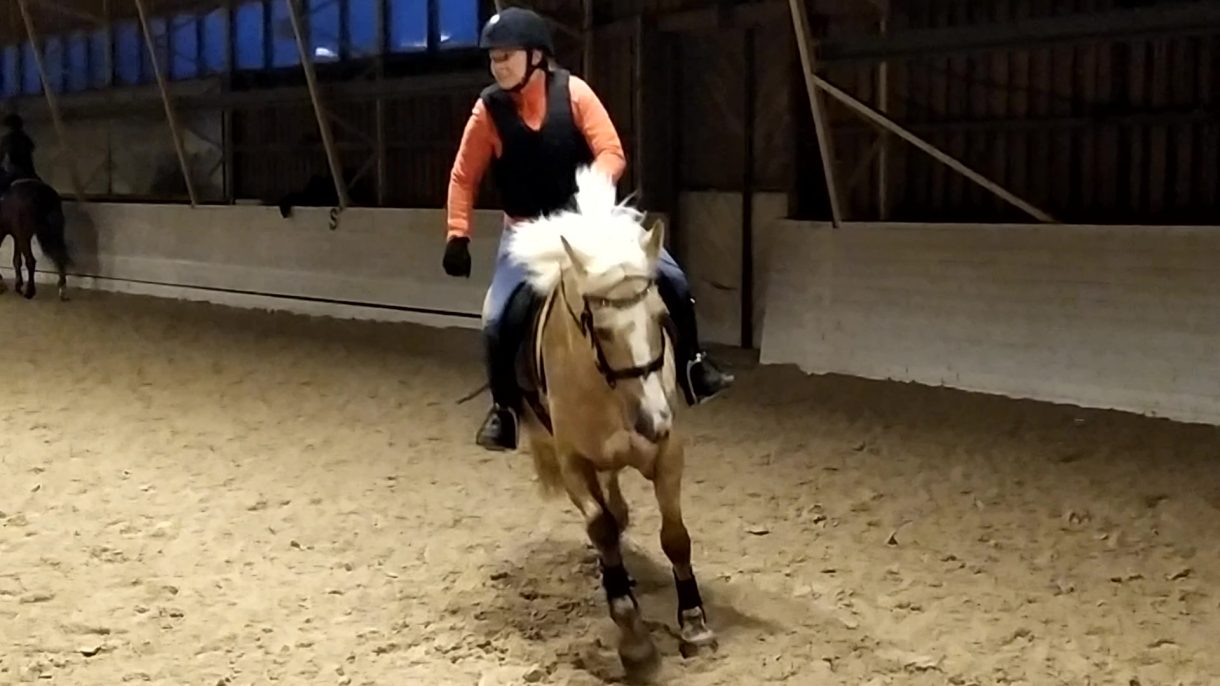 Tasapaino esteillä -kurssi 15.1.-19.2.2021