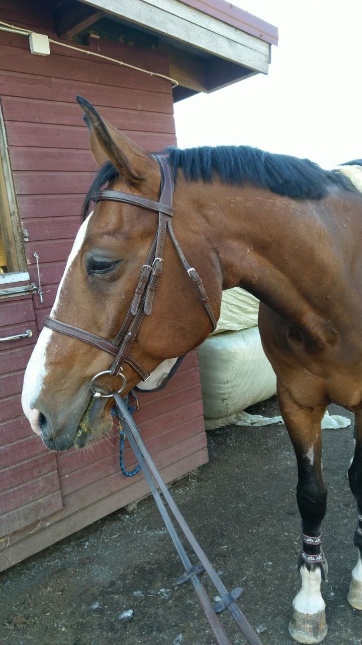 Koulutunti Solbackassa 16.4.2021