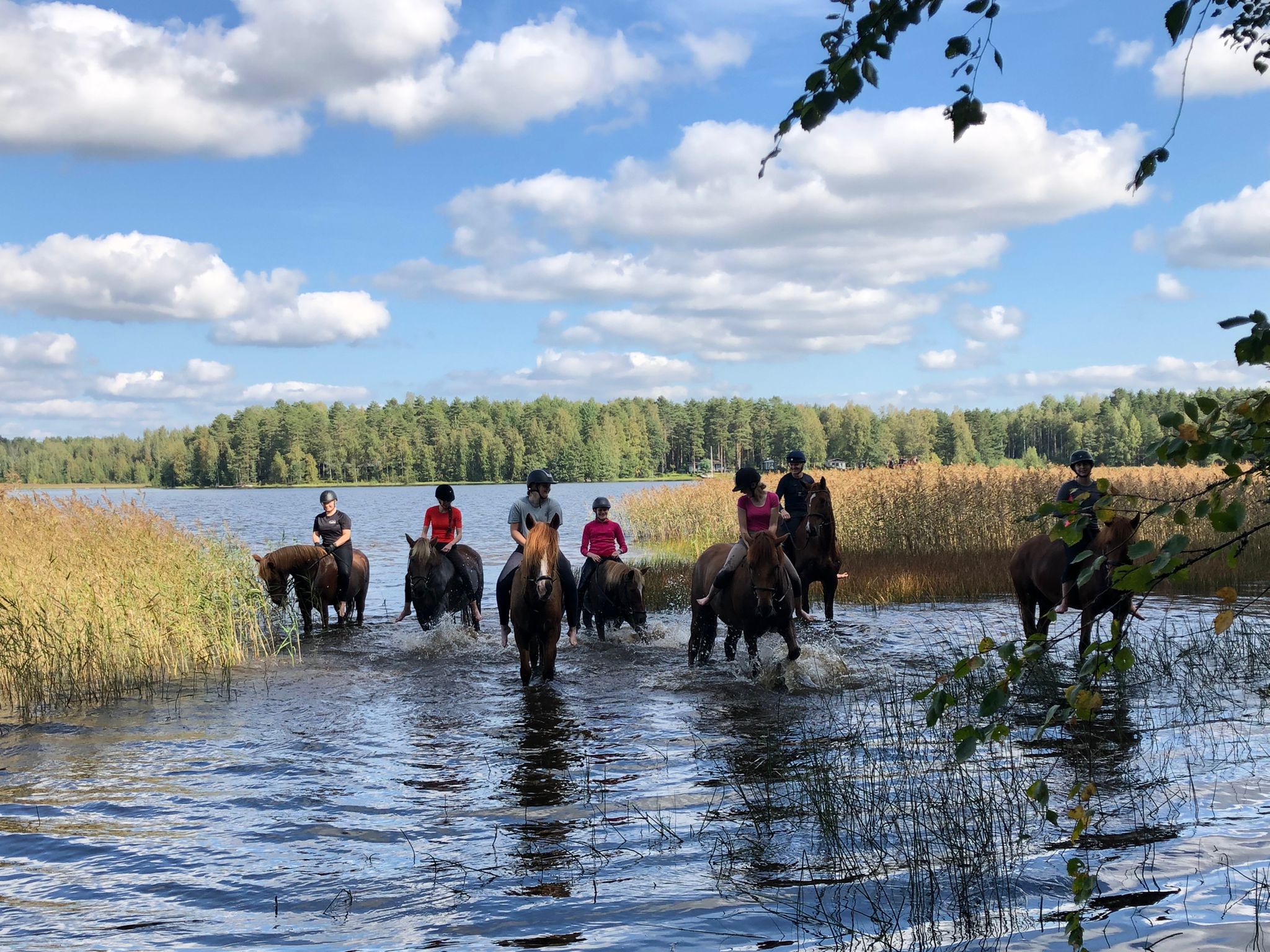 Kesän päättäjäiset kenttäleirillä Niinisalossa