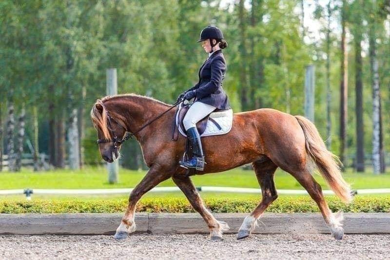 Gaudeamus Grand Prix 26.4.2025