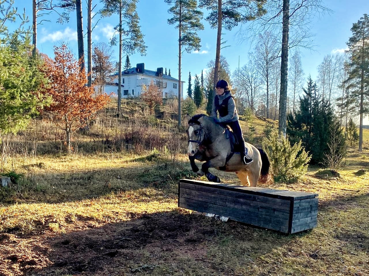 Maastoestekurssi 3.6.-11.6.2025