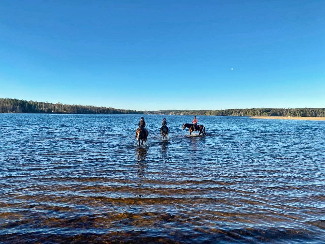 Ruoveden ratsastusleiri 11.-13.11.2022