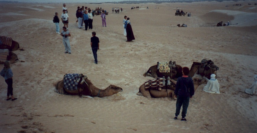 tunisia89_7.jpg (100133 bytes)