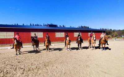 Maastoesteleiri Vironmäen ponitallilla 2024