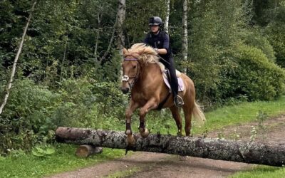 Maastoesteleiri Ratsuniityssä